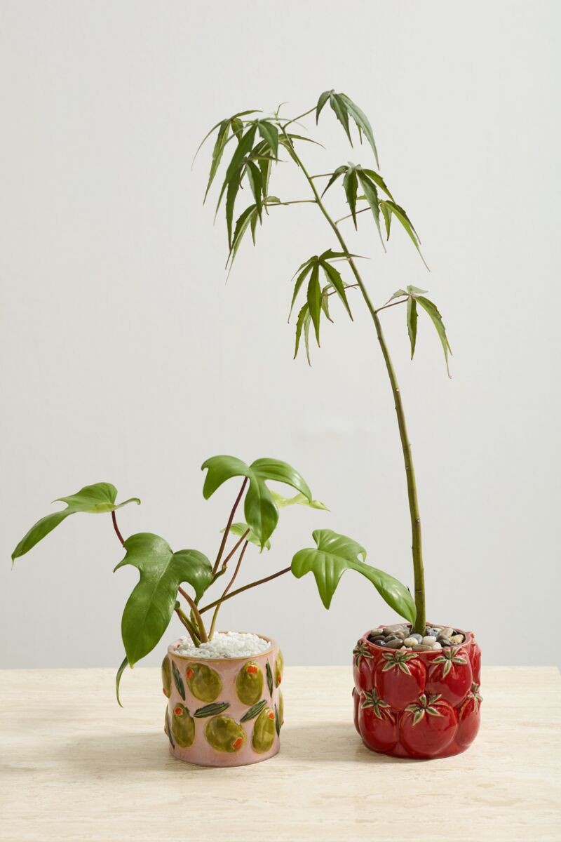 Design Shop Cucina Pot 5.5"x 4.5", Set of 2