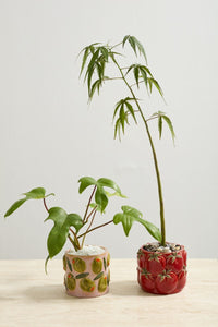 Design Shop Cucina Pot 5.5"x 4.5", Set of 2