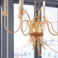 Wildwood Mignon Chandelier