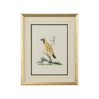 Chelsea House Cain Birds B