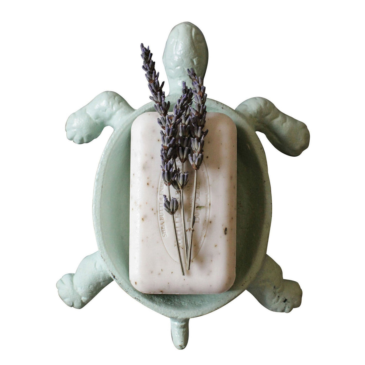 Design Shop Distressed Cast Iron Turtle Soap Dish