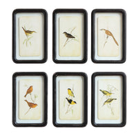 Design Shop Distressed Wood Framed Wall Decor, Set of 6