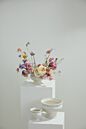 Design Shop Dawson Compote 8.5"x 6.25"