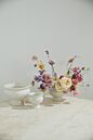 Design Shop Dawson Compote 6.75"x 5.25"