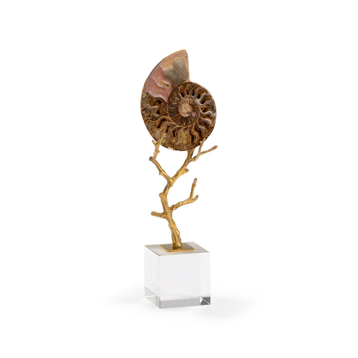 Decorative piece with a fossilized ammonite on a gold branch with a white cube base.