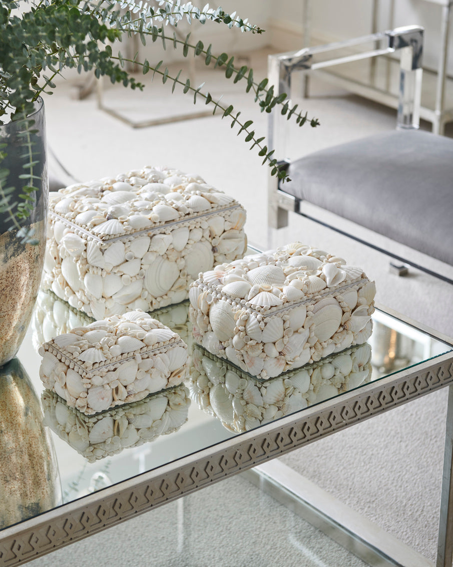 Chelsea House White Shell Boxes (S3)