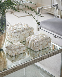 Chelsea House White Shell Boxes (S3)