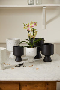 Design Shop De Vil Pot 5.25"x 7.5"