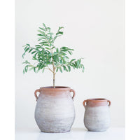 Design Shop Terracotta Urn with Whitewash Finish