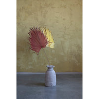 Design Shop Dried Palm Leaf, Citron Color (Each One Will Vary)