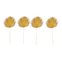 Design Shop Dried Palm Leaf, Citron Color (Each One Will Vary)