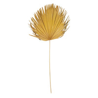 Design Shop Dried Palm Leaf, Citron Color (Each One Will Vary)