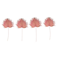 Design Shop Dried Palm Leaf, Raspberry Color (Each One Will Vary)