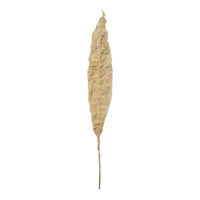 Design Shop Faux Leaf, Plaster Finish