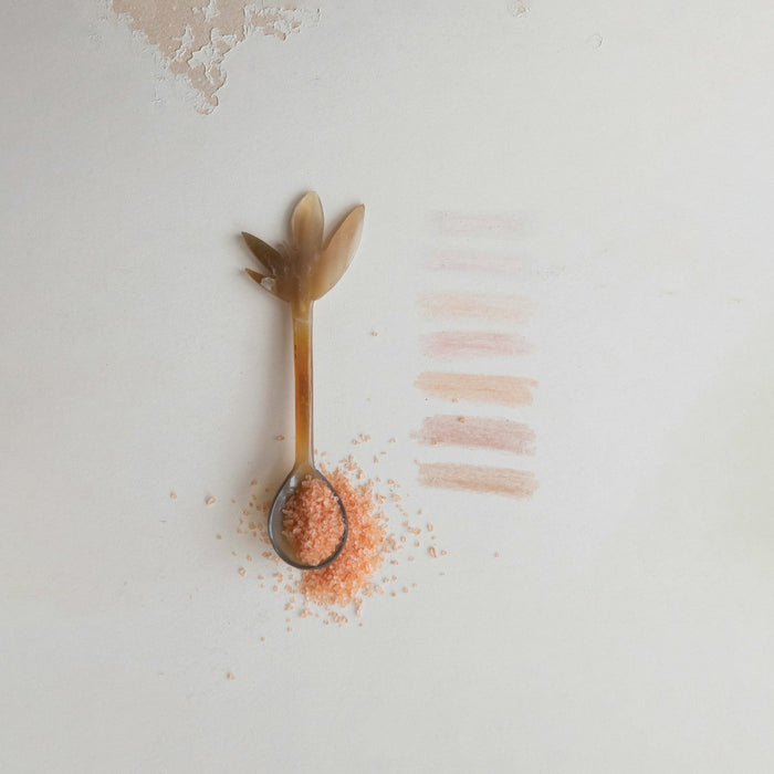 Design Shop Hand-Carved Horn Spoon in Printed Drawstring Bag (Each One Will Vary)