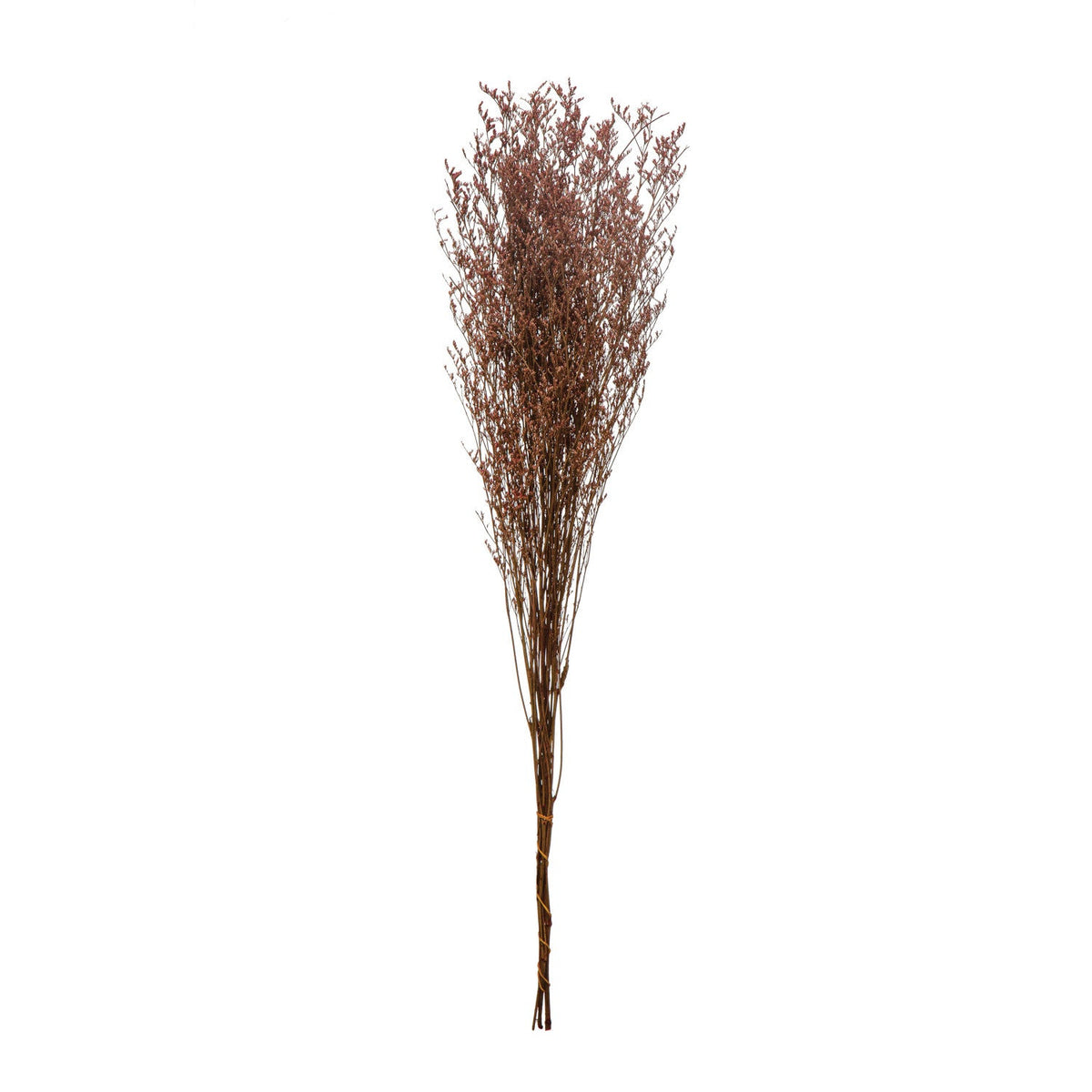 Design Shop Dried Natural Love Grass Bunch, Lavender Color