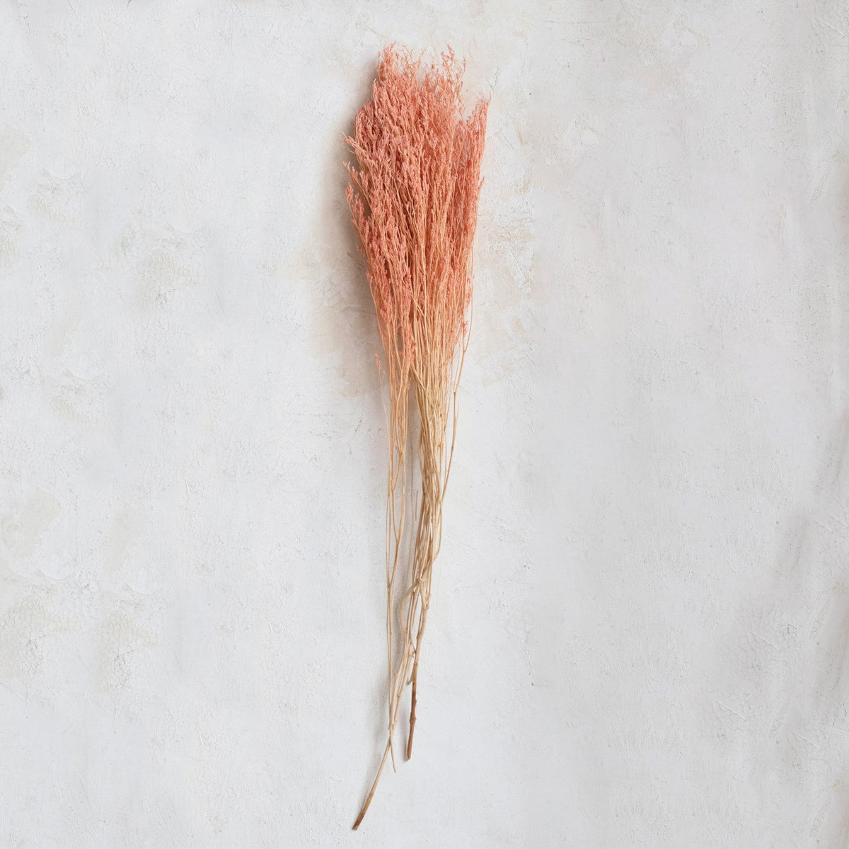 Design Shop Dried Natural Love Grass Bunch, Pink