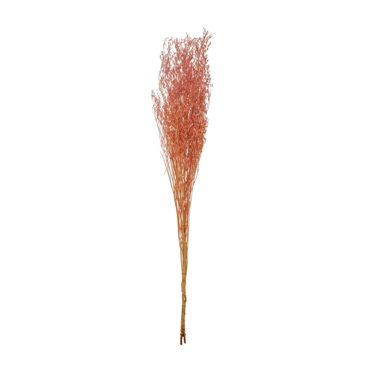 Design Shop Dried Natural Love Grass Bunch, Pink