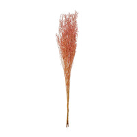Design Shop Dried Natural Love Grass Bunch, Pink