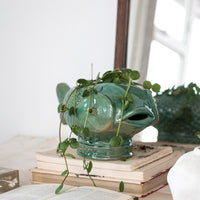 Design Shop Debossed Stoneware Fish Planter (Holds 7" Pot) (Each One Will Vary)