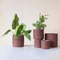 Design Shop Decorative Woven Seagrass Baskets w/ Plastic Lining, Set of 6