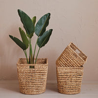 Design Shop Hand-Woven Water Hyacinth & Metal Baskets w/ Handles, Set of 3
