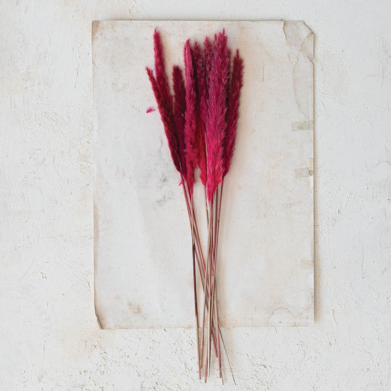 Design Shop Dried Natural Pampas Grass Bunch (Contains 10 Pieces)