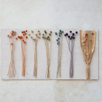 Design Shop 20"H Dried Natural Craspedia Bunch, 6 Colors