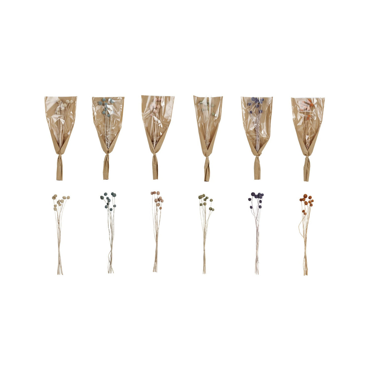 Design Shop 20"H Dried Natural Craspedia Bunch, 6 Colors
