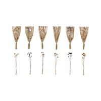 Design Shop 20"H Dried Natural Craspedia Bunch, 6 Colors