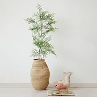 Design Shop Terra-cotta Fish Shaped Container, Natural
