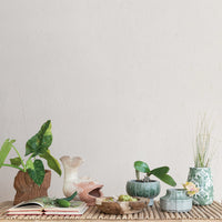 Design Shop Terra-cotta Fish Shaped Container, Natural