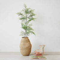 Design Shop Woven Seagrass Basket w/ Pattern