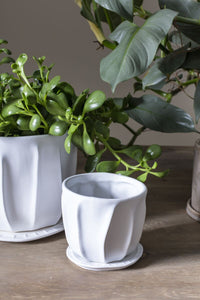 Design Shop Draken Pot with Saucer 7.5"x 6.25"