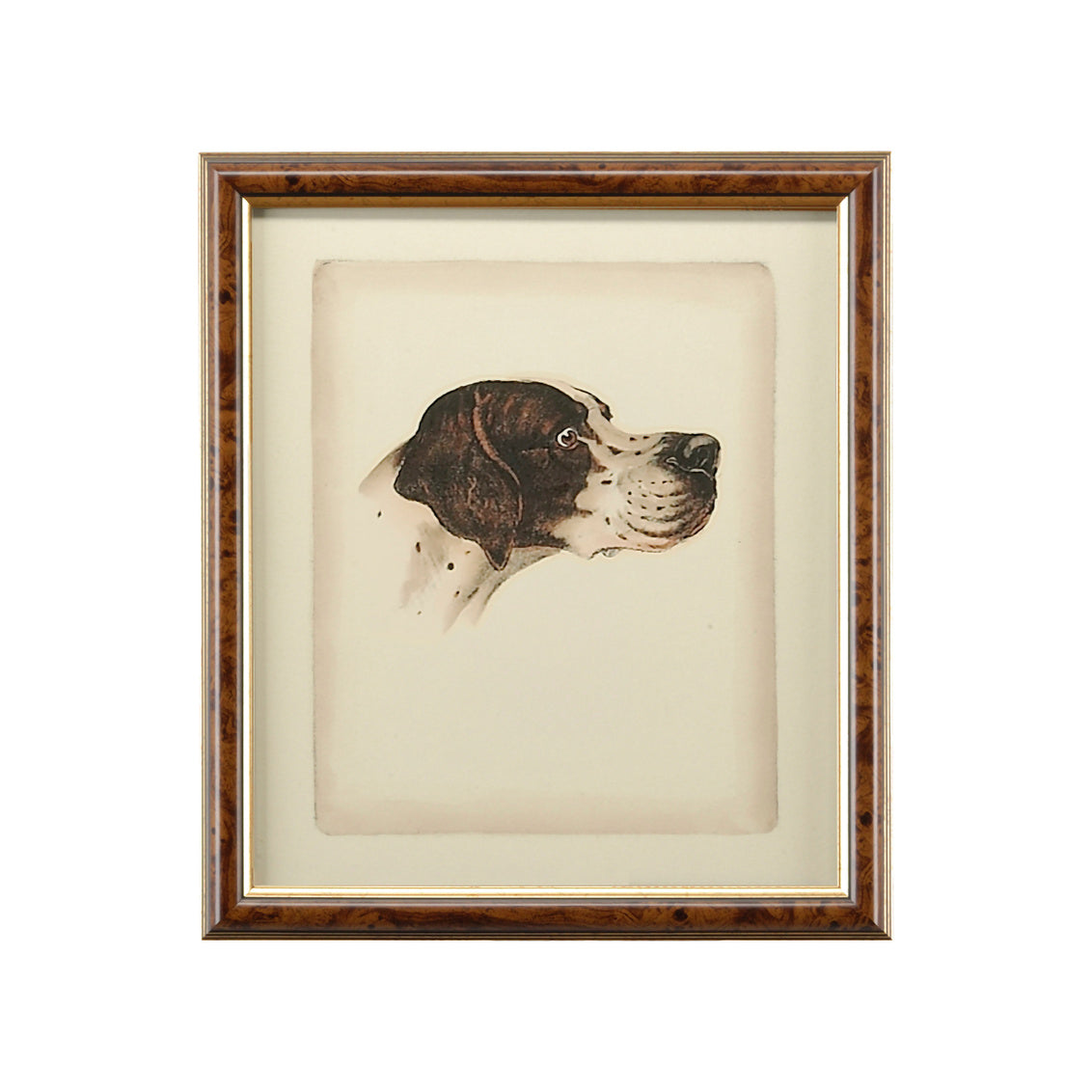 Chelsea House Danchin Pointer