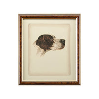 Chelsea House Danchin Pointer