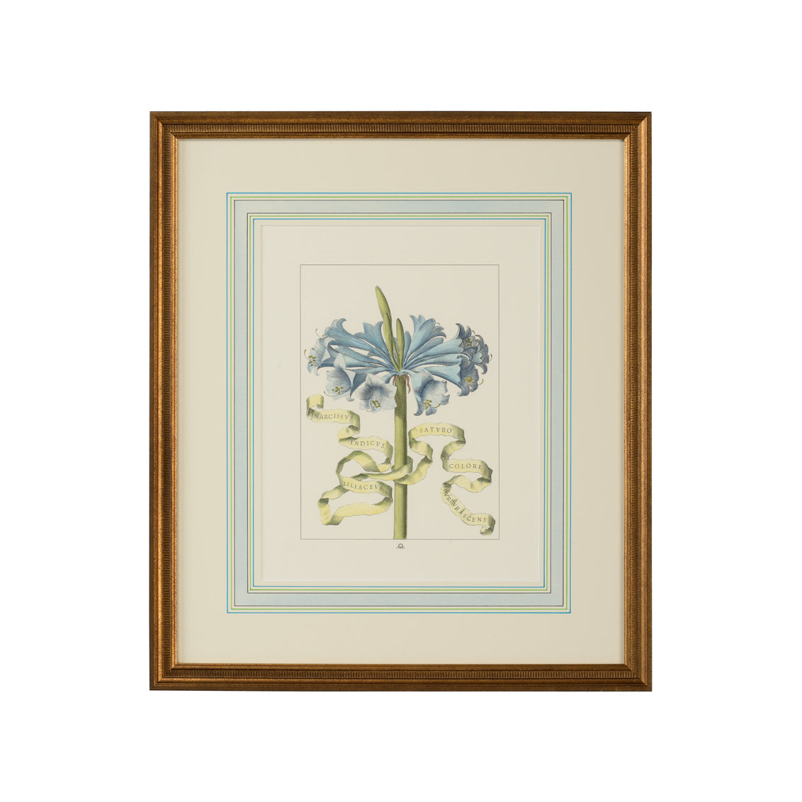 Chelsea House Bl Floral W/Ribbon-D