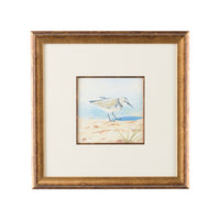 Chelsea House Sand Piper VI