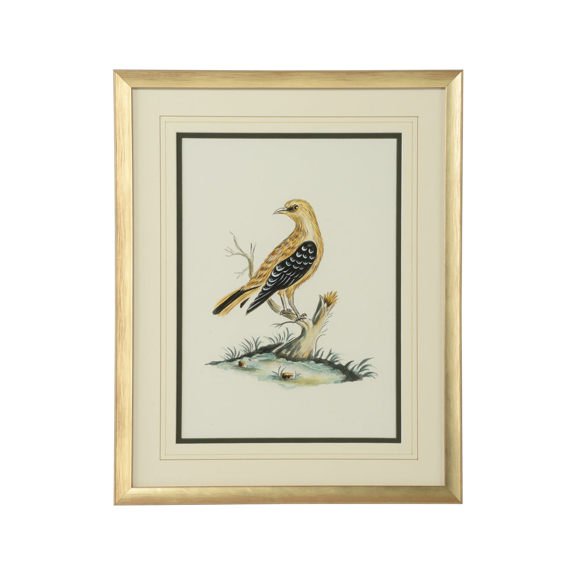 Chelsea House Cain Birds A
