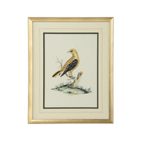 Chelsea House Cain Birds A