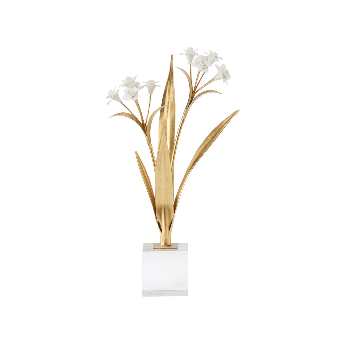 Chelsea House Paperwhite Narcissus