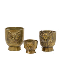 Design Shop E+E Pot Beatrice 6.5"x 8.25"x 7"