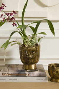 Design Shop E+E Pot Eloise 7.5"x 5.75"x 7.25"