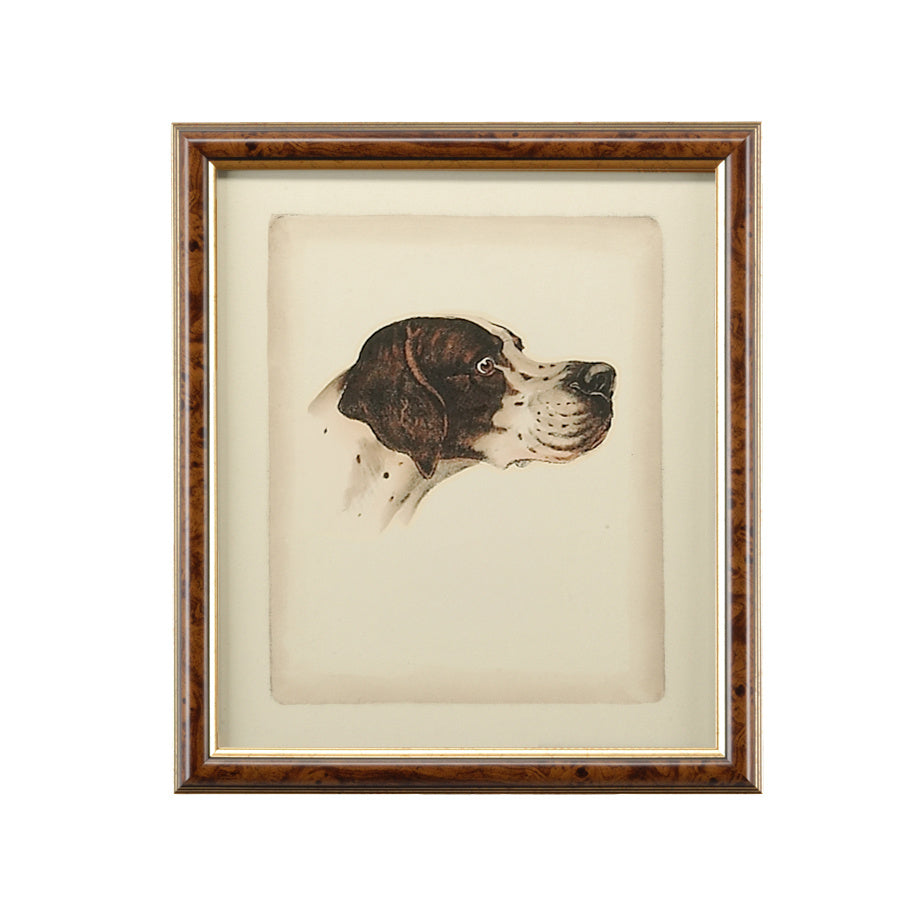 Chelsea House Danchin Cocker Spaniel