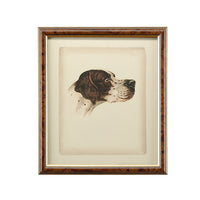 Chelsea House Danchin Cocker Spaniel