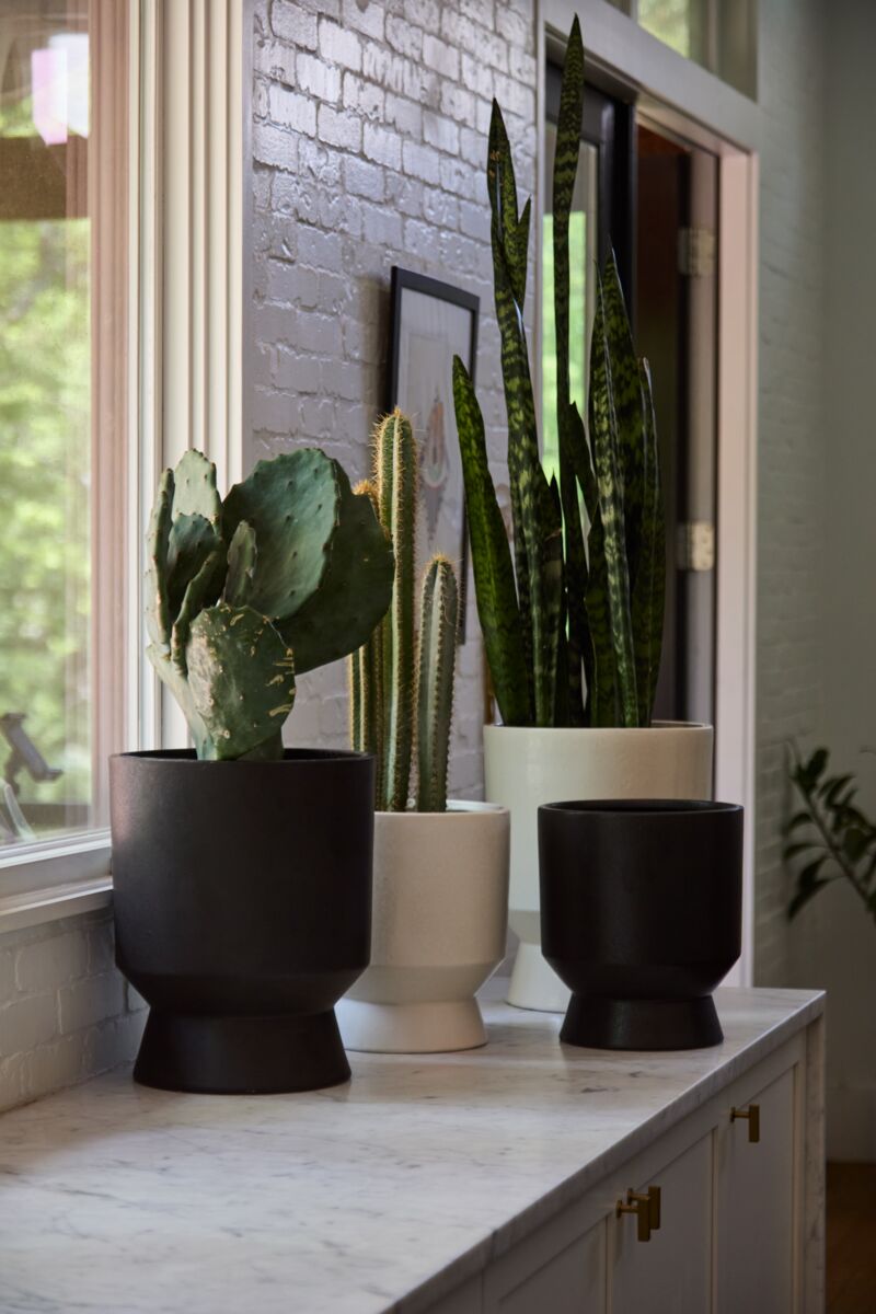 Design Shop Elliott Pot 9.75"x 11"