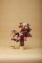 Design Shop Elsa Cylinder Vase 3.75"x 8"