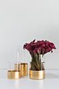 Design Shop Elsa Cylinder Vase 3.75"x 8"
