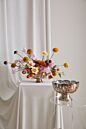 Design Shop Enid Compote 10"x 6.5"
