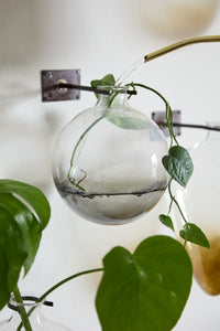 Design Shop Envision Wall Mount Vase 7"x 8.25", Set of 4